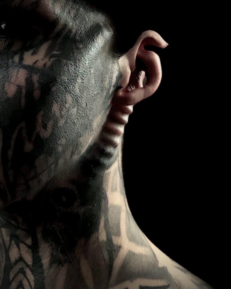 My face and pointed ear in profile
